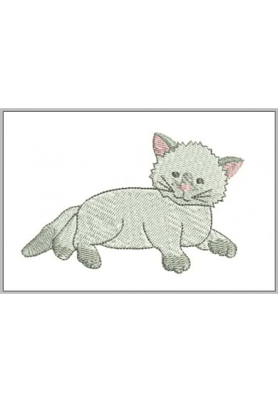 Pet042 - White Cat